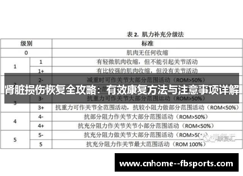肾脏损伤恢复全攻略：有效康复方法与注意事项详解
