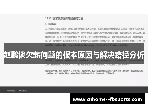 赵鹏谈欠薪问题的根本原因与解决路径分析